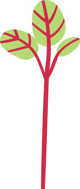 Brotes de las plantas de sorrel