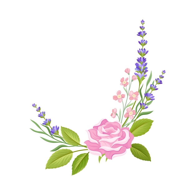 Los brotes de rosa y las ramas de lavanda dispuestas en una ilustración vectorial de composición tierna