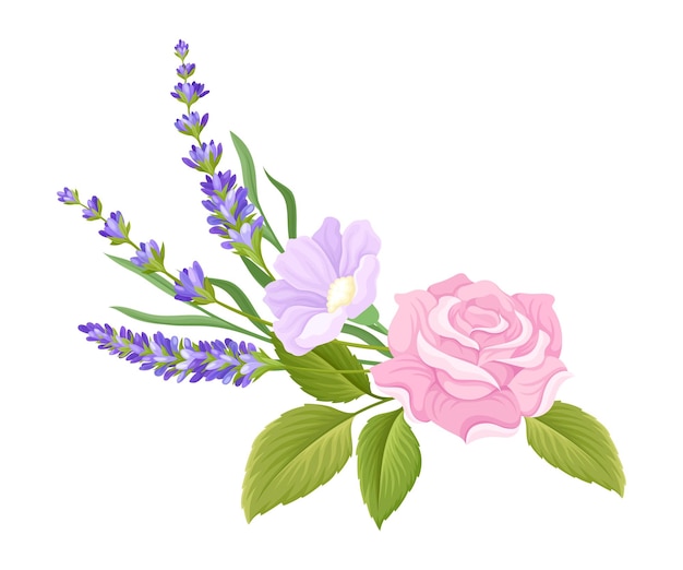 Los brotes de rosa y las ramas de lavanda dispuestas en una ilustración vectorial de composición tierna