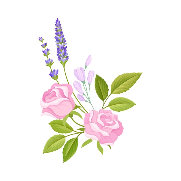 Los brotes de rosa y las ramas de lavanda dispuestas en una ilustración vectorial de composición tierna