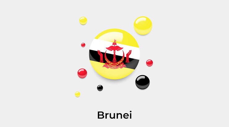 Vector brunei bandera brillante burbujas icono vector ilustración