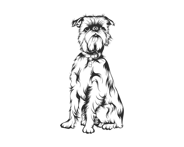 Vector bruselas griffon dog vector illustration, bruselas griffon raza vector sobre fondo blanco para t-sh