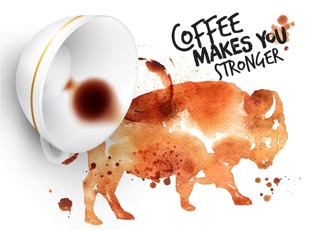 Búfalo de café salvaje