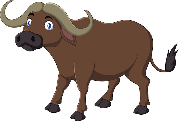 Vector búfalo de dibujos animados aislado sobre fondo blanco