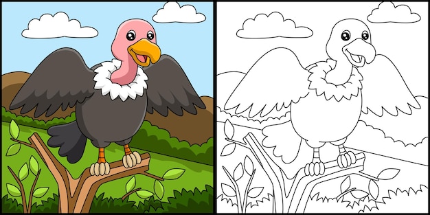 buitre para colorear página vector ilustración