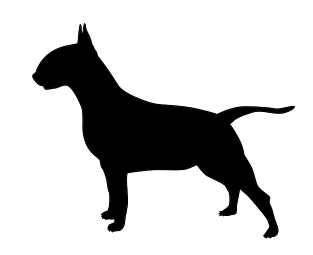 Bull terrier silueta de un perro de pie