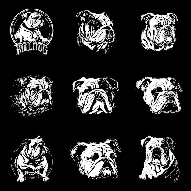 Bulldog blanco y negro de vector libre