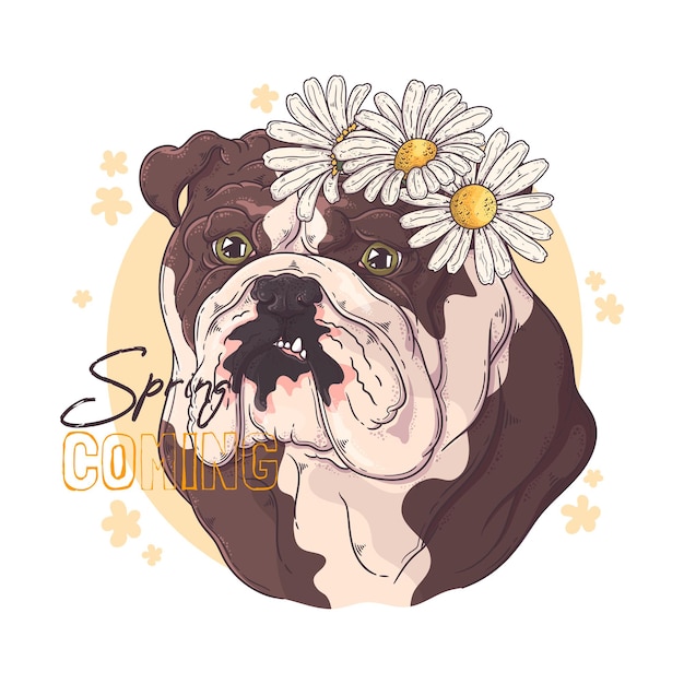 Bulldog dibujado a mano con flores