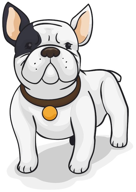 Vector bulldog francés con un aspecto tierno en estilo de dibujos animados y fondo blanco.