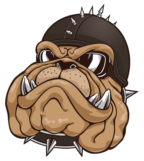 Vector bulldog head