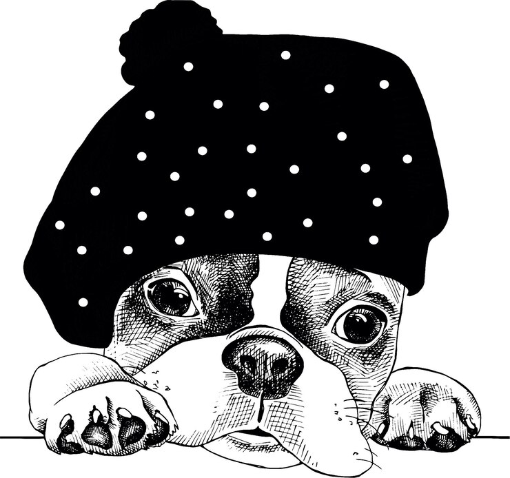 Bulldog con sombrero Hipster