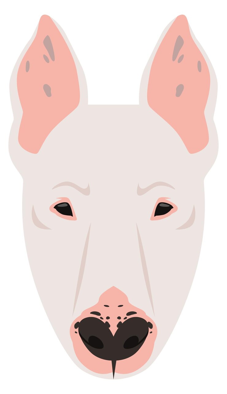 Vector bullterrier, cara, divertido, caricatura, perro, cabeza, icono