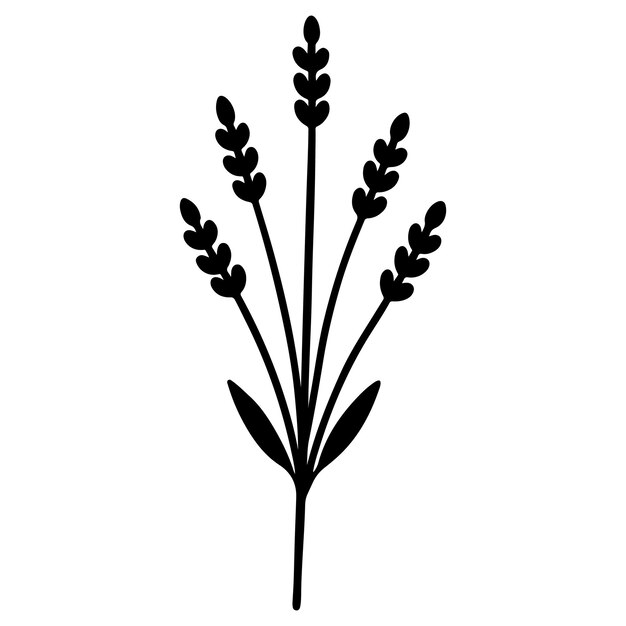 Bundle de un icono de ramita de lavanda con pequeñas flores agrupadas en un tallo alto sobre un fondo blanco