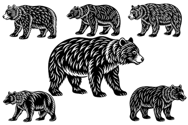 Bundle de silueta de oso