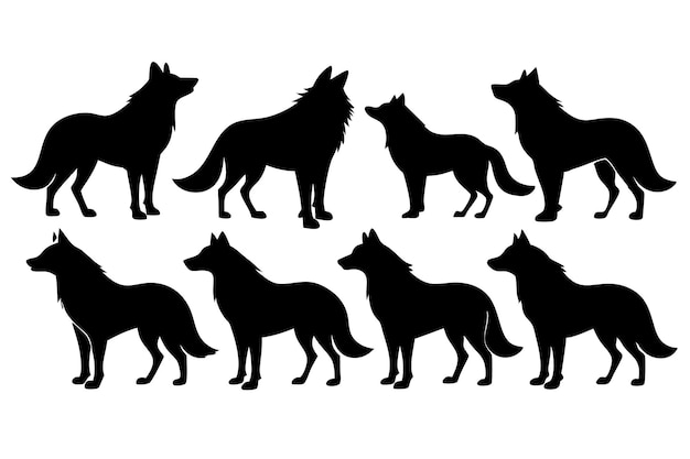 Bundle vectorial de silueta de lobo aislado en fondo blanco