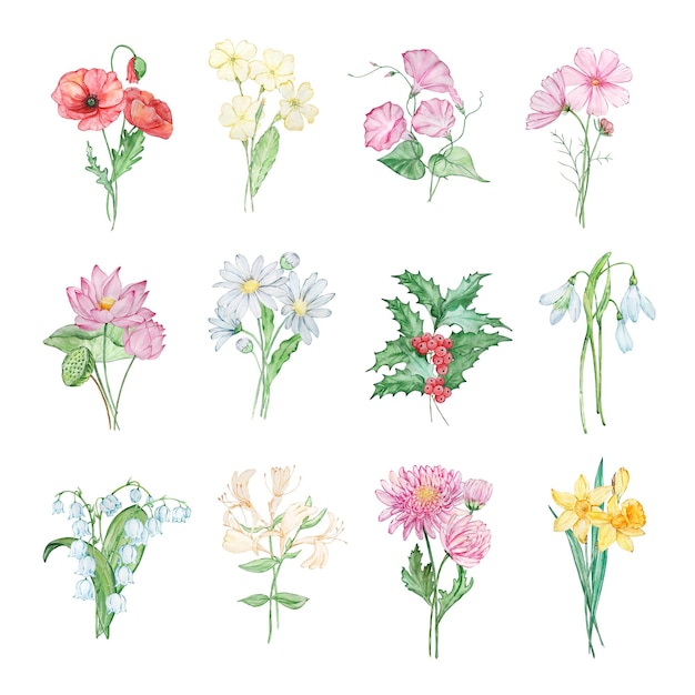 Vector buquetes de acuarelas de diseño de flores del mes de nacimiento para impresiones y tarjetas