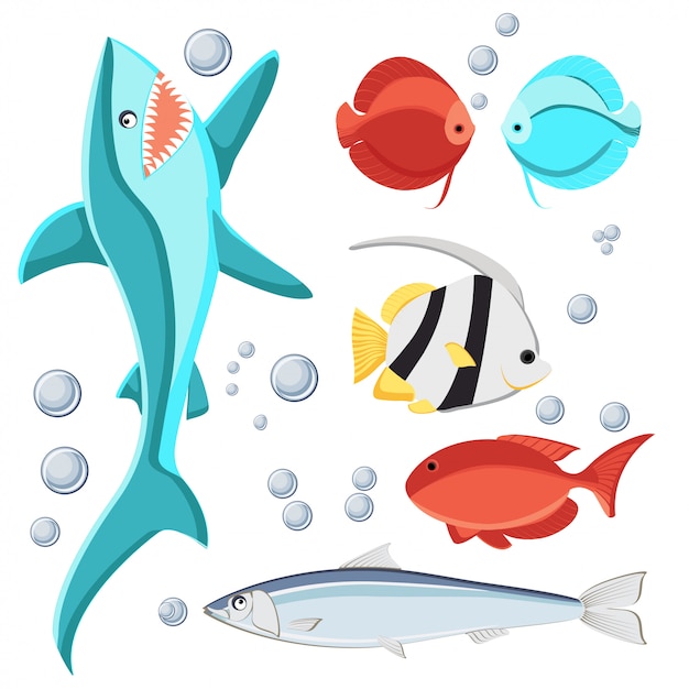 Vector burbujas de peces y agua estilo de dibujos animados para niños.