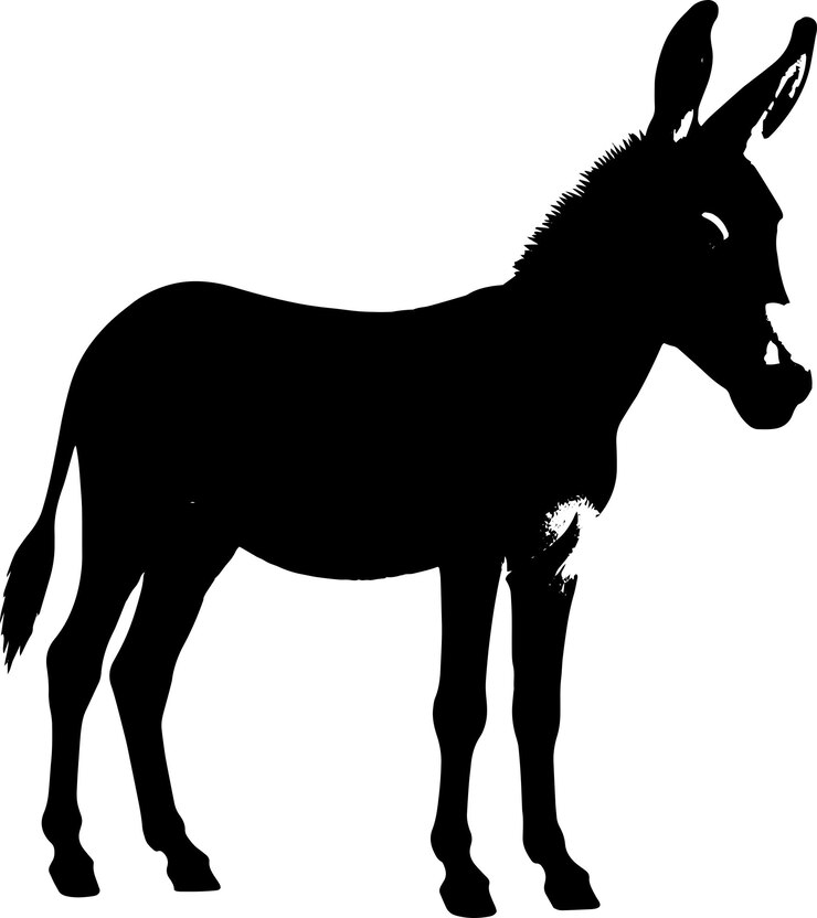 Vector el burro