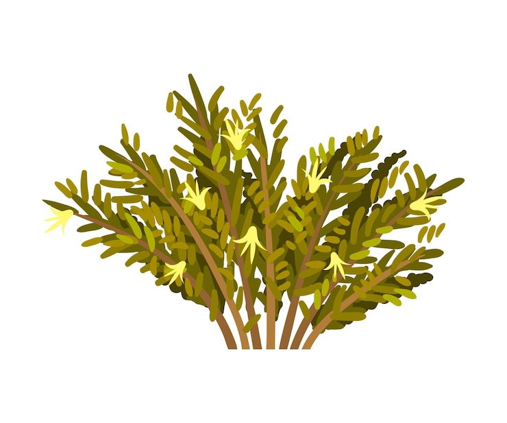 Vector bush con follaje denso y pequeñas flores amarillas ilustración vectorial sobre un fondo blanco