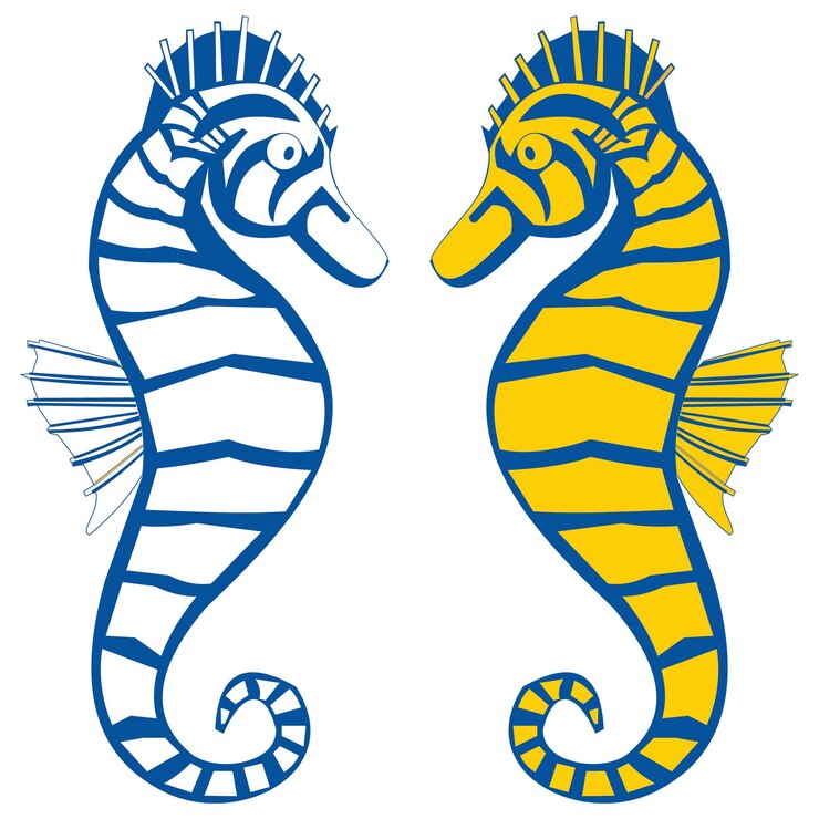 Caballito de mar