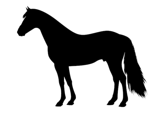 caballo, animal, silueta, ilustración