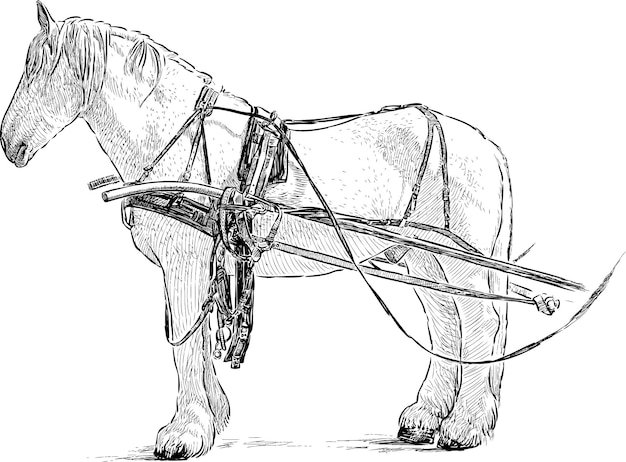 Vector caballo enjaezado