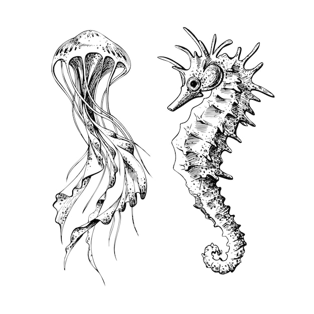 Caballo de mar y medusa Ilustración marina del mundo submarino dibujada a mano con tinta negra gráficamente Vector clip art en EPS