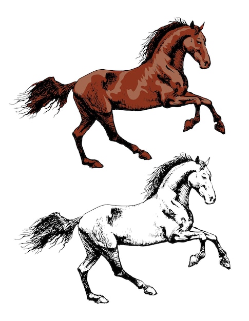 Vector caballo mustang en movimiento caballo en estilo de esquema de arte grabado