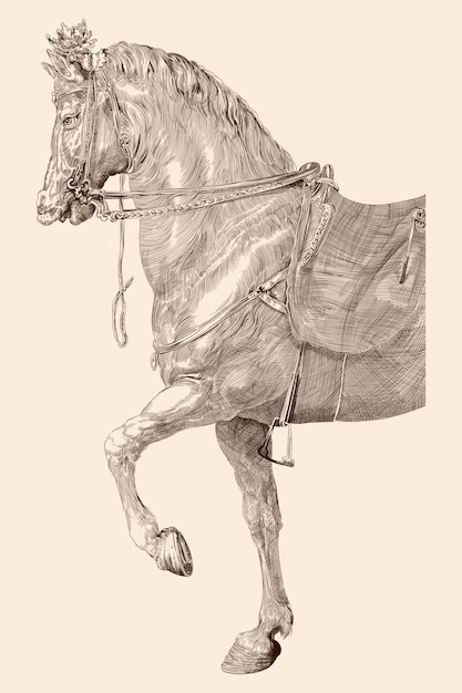 Vector caballo con silla y arnés en estilo vintage