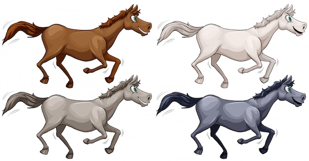 Vector caballos salvajes