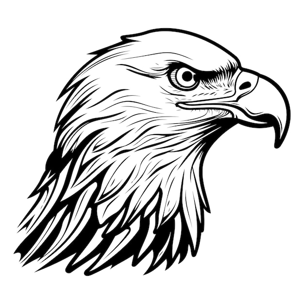 Vector cabeza de águila en estilo blanco y negro para su diseño