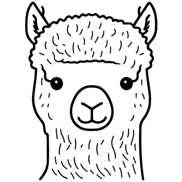 Vector cabeza de animal camélido llamada alpaca