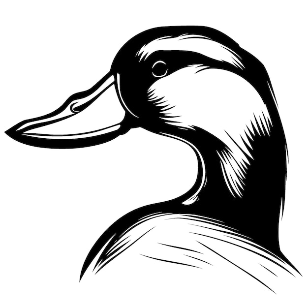 Cabeza de animal de pato de aves acuáticas
