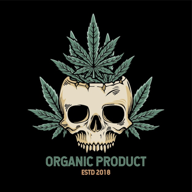 cabeza de calavera vintage con hojas de cannabis en el interior