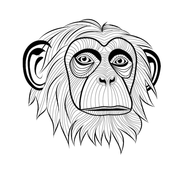 La cabeza de un chimpancé mono