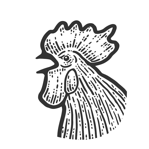 La cabeza de un gallo Sketch scratch board imitation Blanco y negro
