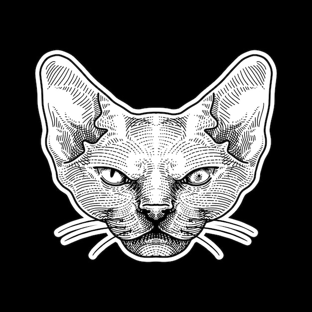 Una cabeza grabada en blanco y negro de un gato esfinge