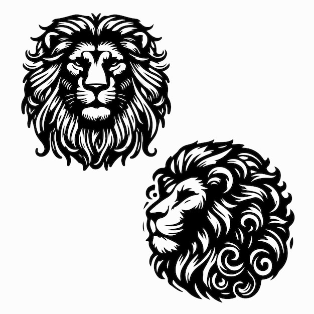 Una cabeza de león y una cabeza de leon se muestran con las palabras "león" en ella.
