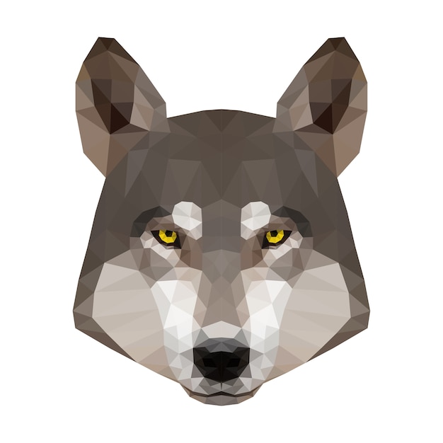 Vector cabeza de lobo. retrato de lobo de baja poli.