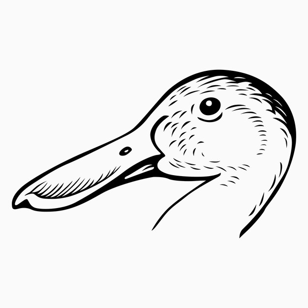 Cabeza de pájaro de pato
