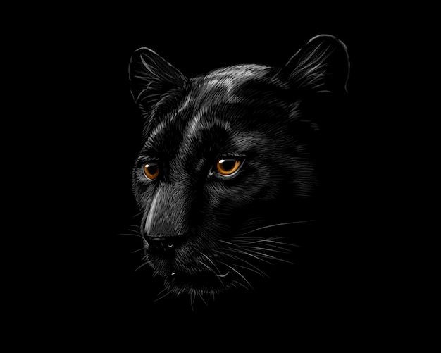 Vector cabeza de pantera negra aislada sobre fondo negro. ilustración vectorial