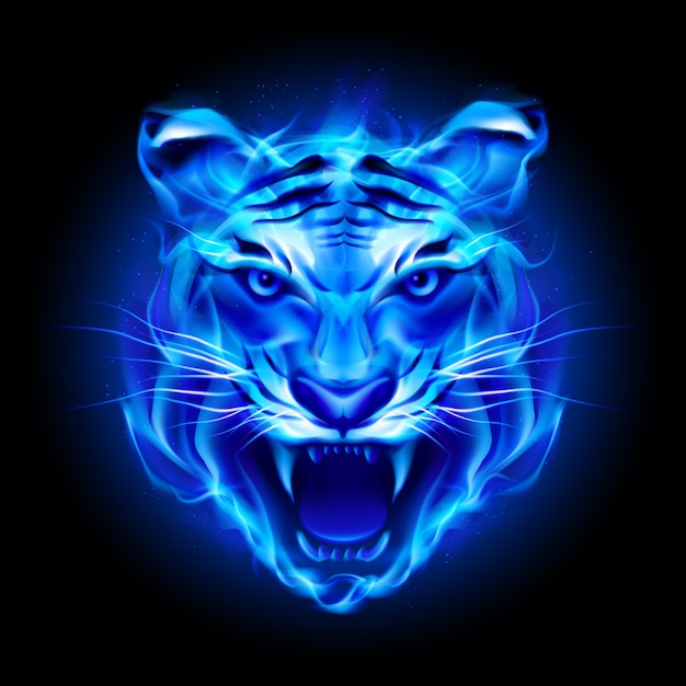 Cabeza de tigre de fuego azul