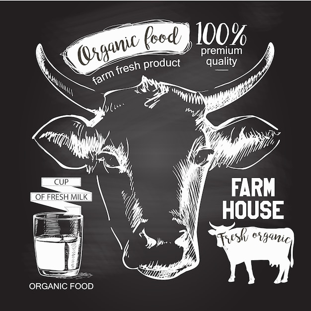 Cabeza de las vacas Dibujado a mano. dibujo de tiza en la ilustración de vector de pizarra