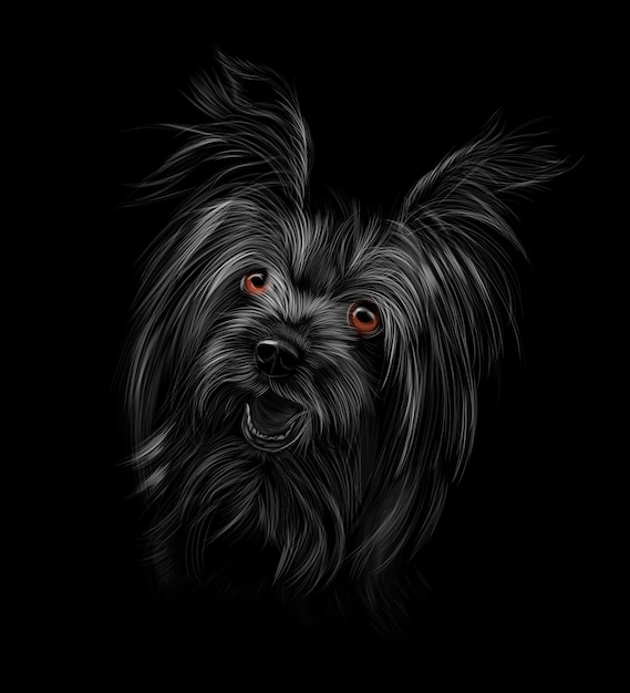 Vector cabeza de yorkshire terrier sobre fondo negro ilustración vectorial de pinturas