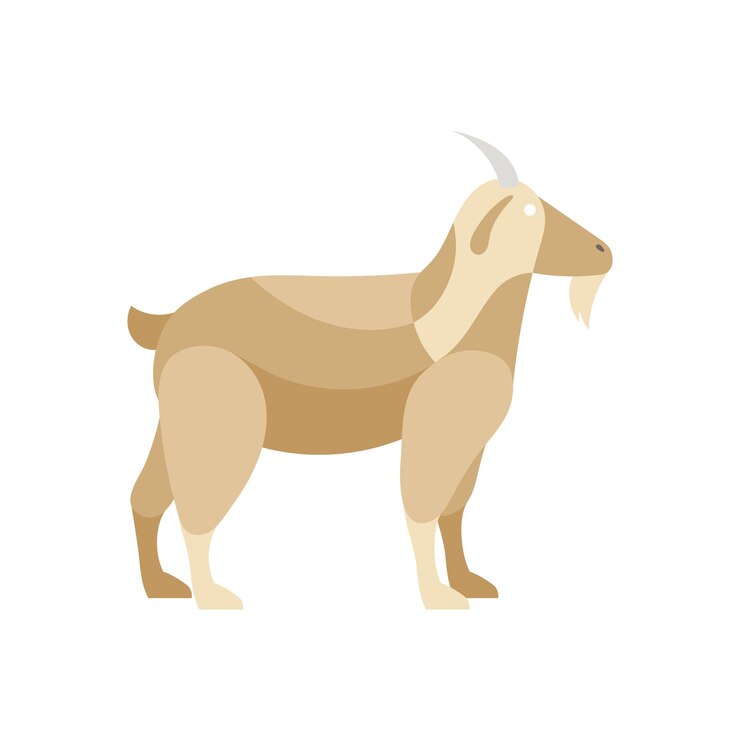 Vector una cabra beige con cuernos en pie