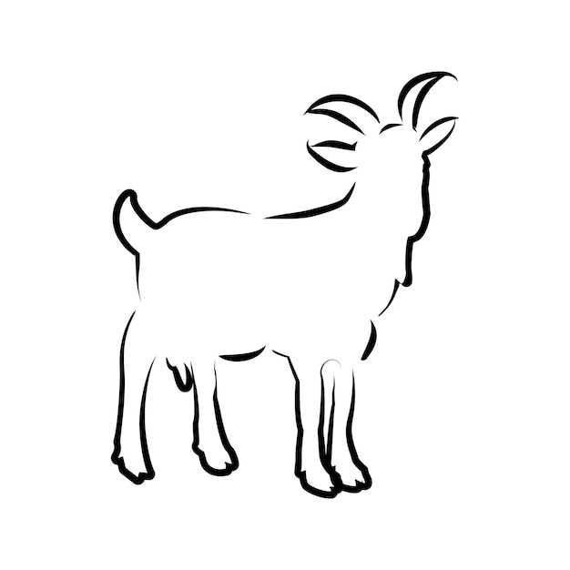 Cabra diseño logo símbolo icono línea arte vector ilustración