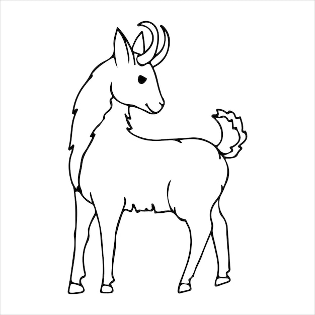 Cabra esponjosa Línea Una cabra con cuernos Lindo animal Ganado animal Agricultura Granja Vector ilustración aislada sobre fondo blanco