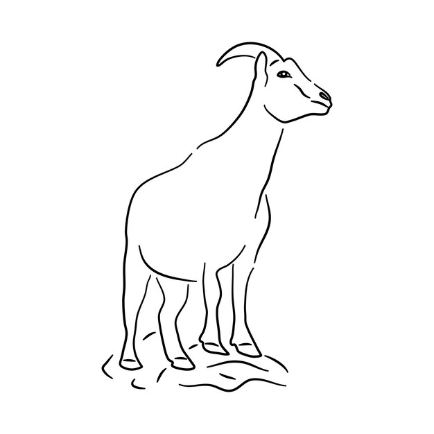 Cabra en estilo doodle Iconos boceto hecho a mano Vector
