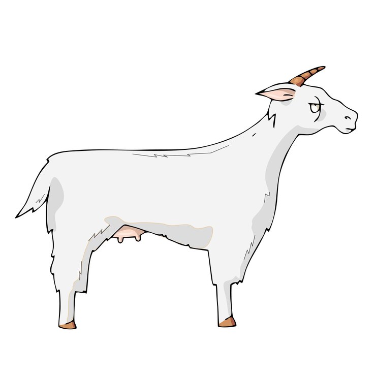 Vector cabra en vector de dibujos animados lindo fondo blanco