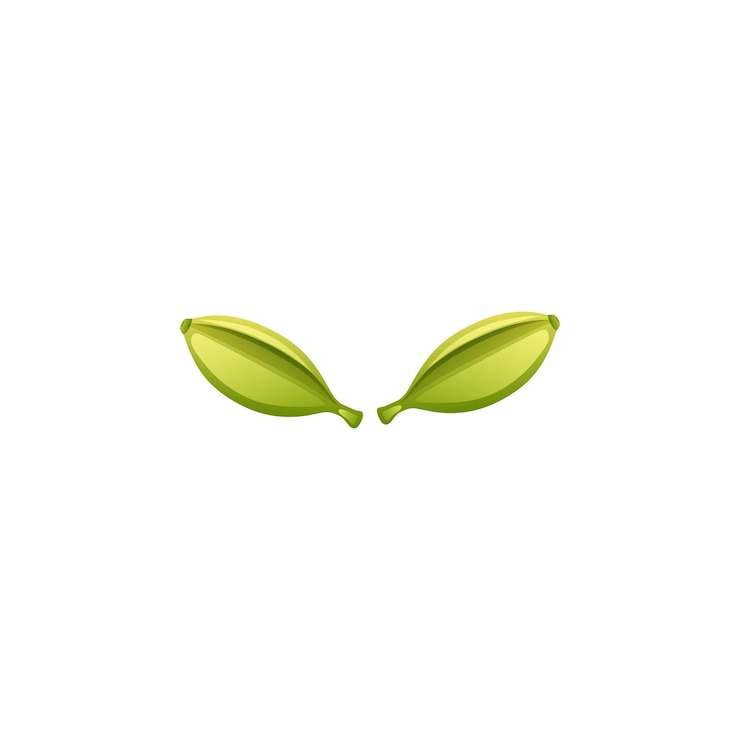 Vector cacao pod